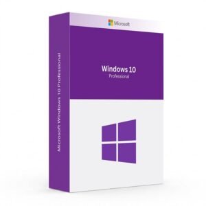 microsoft windows 10 professional.jpg