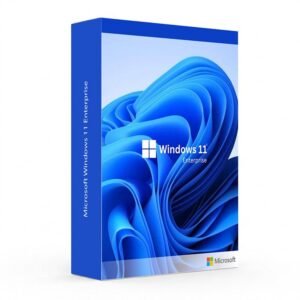 microsoft windows 11 enterprise.jpg