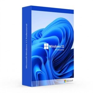 microsoft windows 11 professional.jpg